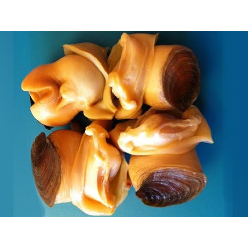 US Yellow Conch Meat - IQF